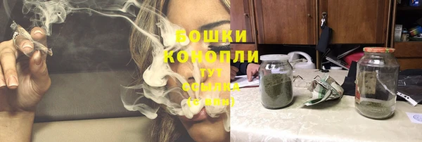 дживик Новозыбков