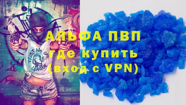 дживик Новозыбков